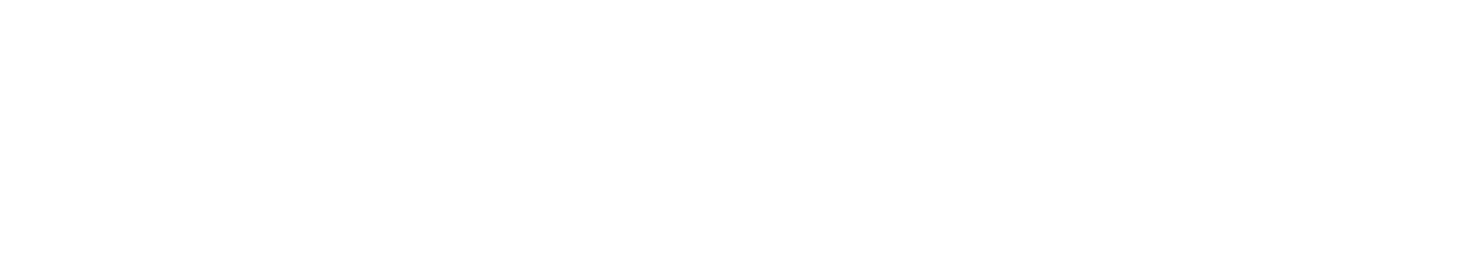 BRAIN Mentoria